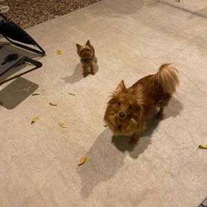 Meet your Posher, Andrew